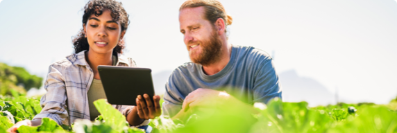 Photo d’un homme et d’une femme consultant une tablette parmi des plantes