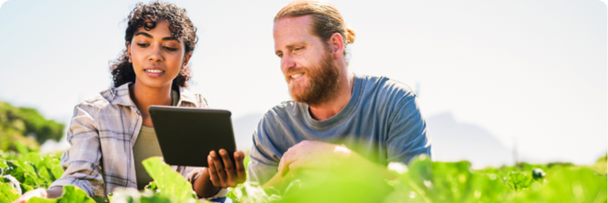 Photo d’un homme et d’une femme consultant une tablette parmi des plantes