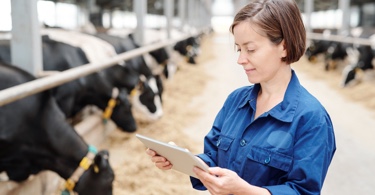 Photo d'une femme consultant des notes dans une étable