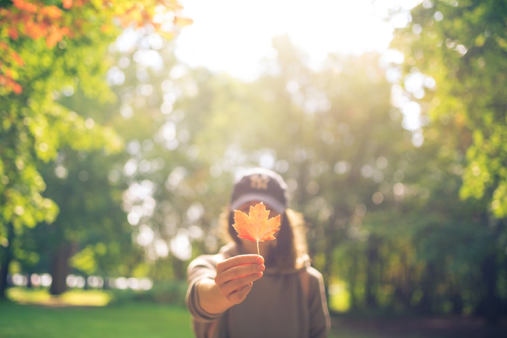 Image d'une jeune femme qui tient une feuille d’érable devant son visage