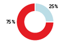 Le Portefeuille durable actions BNI est constitué de 75 % d'actions mondiales et 25 % d’actions canadiennes. 